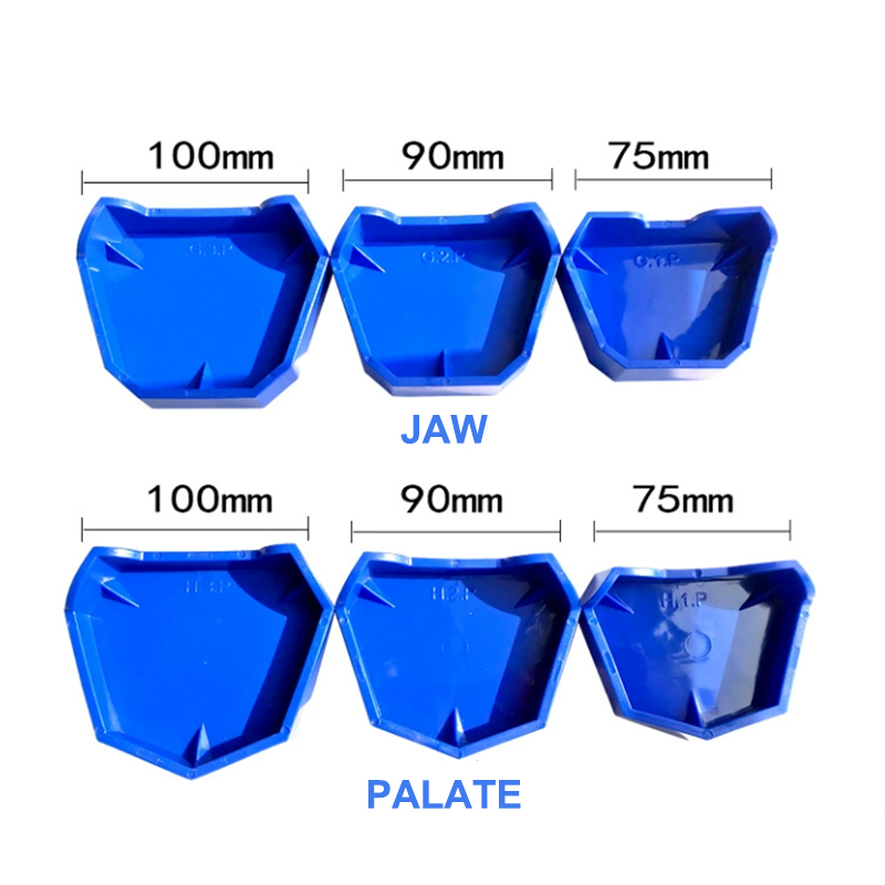 2/6Pcs Silikon Dental Modell B – Teeth Whitening Tray Bewertung und Preis
