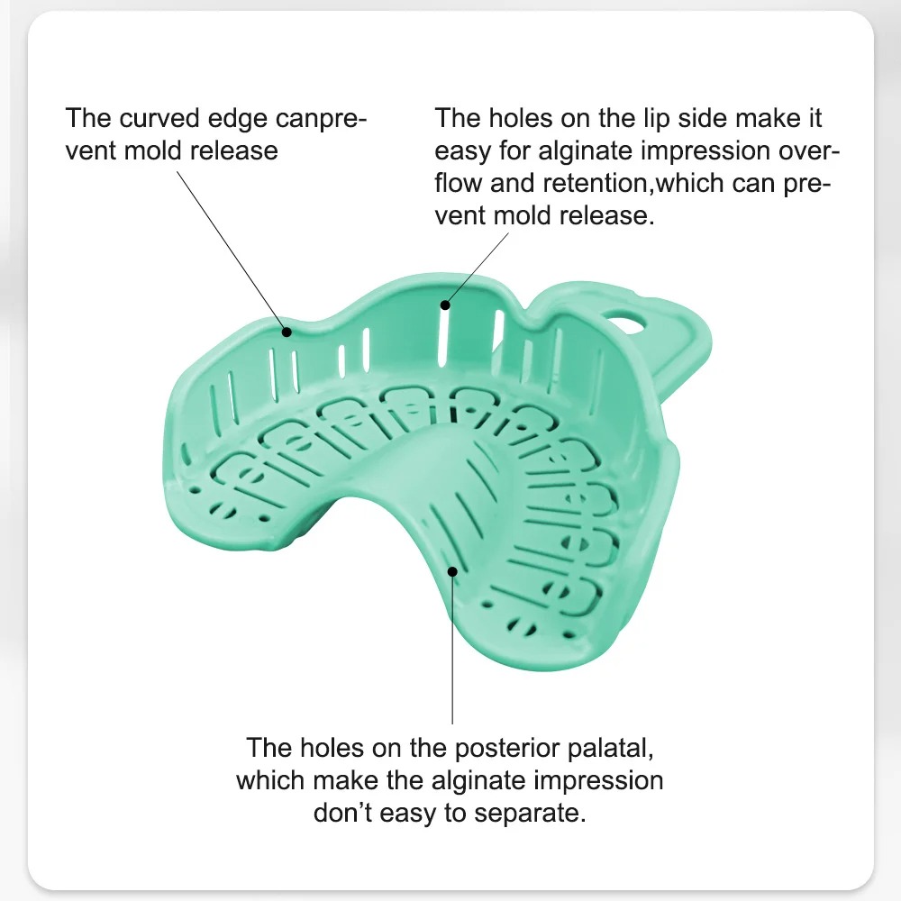 6 Stück Zahnimplantat-Abdruckl – Teeth Whitening Tray Bewertung und Preis